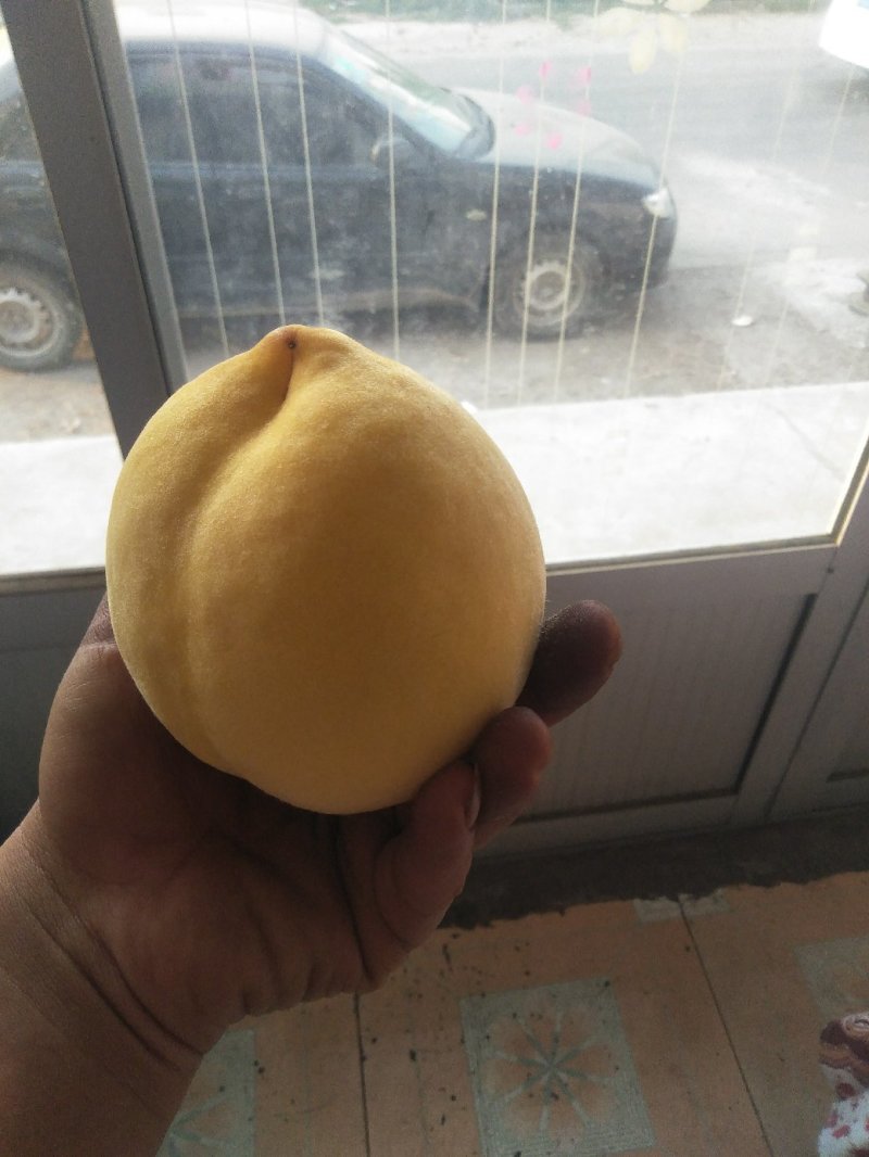大红冠桃，黄桃