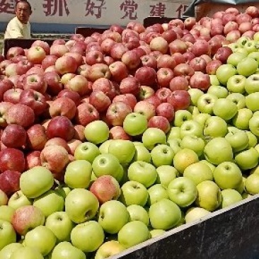 诚信经营