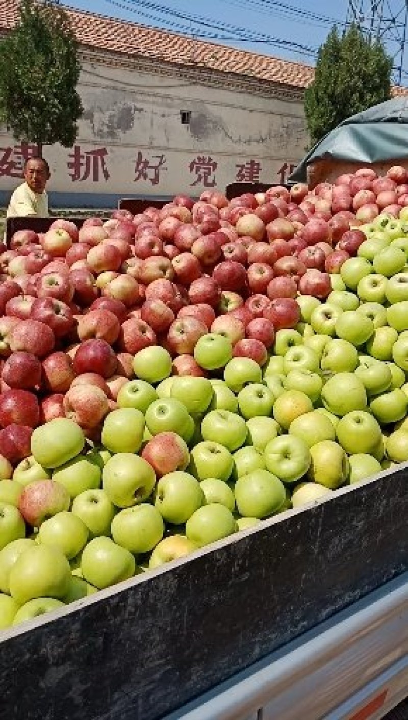 诚信经营