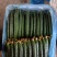 （基地直供）大量供应莘县黄瓜大量上市