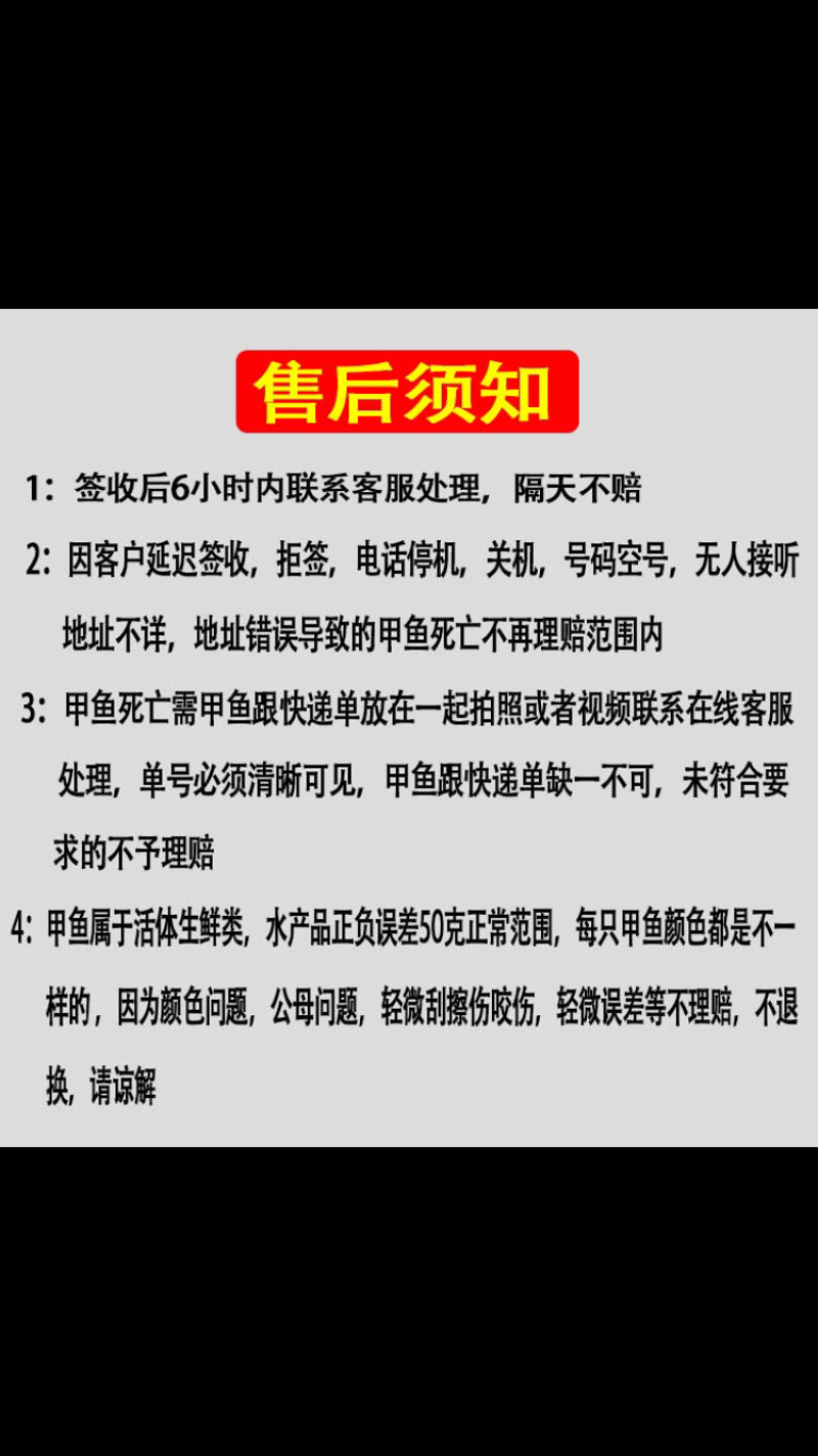 买一送一两只甲鱼农家水塘团鱼自产自销买一送一新鲜包邮