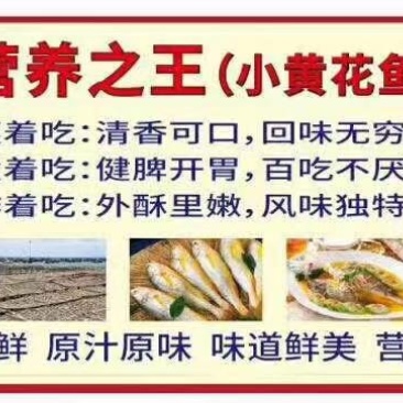 小黄花鱼干