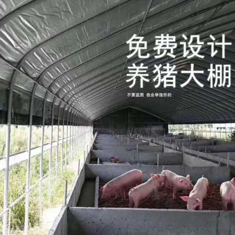 厂价直销全套养殖鸡鸭猪大棚，种植大棚温室大棚各种规格定做