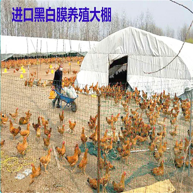 厂价直销全套养殖鸡鸭猪大棚，种植大棚温室大棚各种规格定做