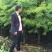 红旭苗木