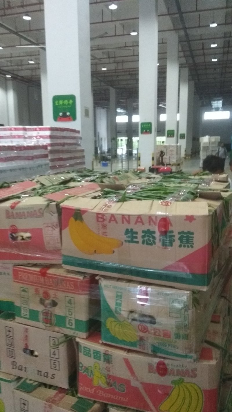 仔姜红芽姜5两以上带土，大量有货，保证质量