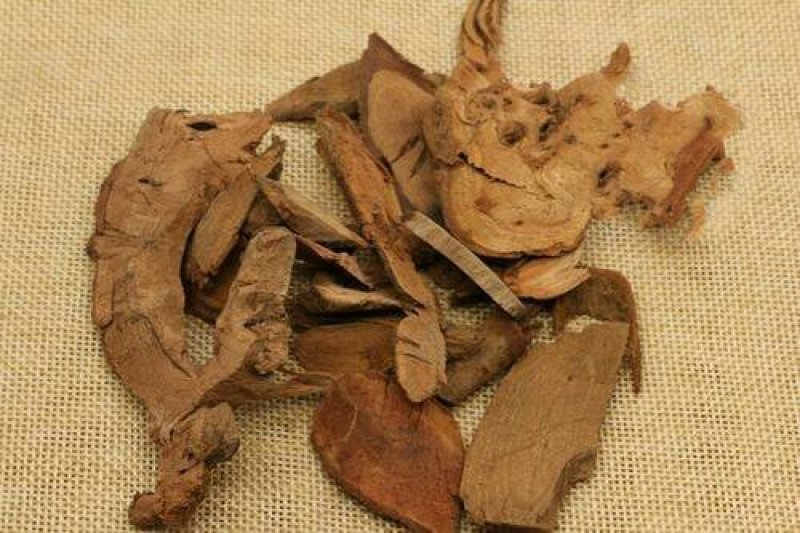 山稔根当梨根千余品种供应承接订单