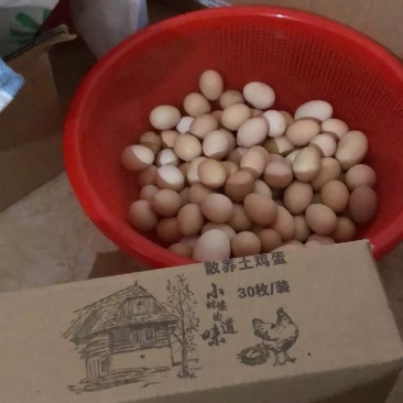 土鸡蛋纯土鸡蛋无饲料蛋