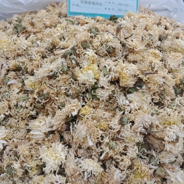 药用菊花菊花亳菊花实图拍照优质正品保证质量无理由退货退款