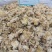 药用菊花菊花亳菊花实图拍照优质正品保证质量无理由退货退款