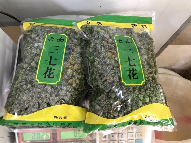 三七花无柄