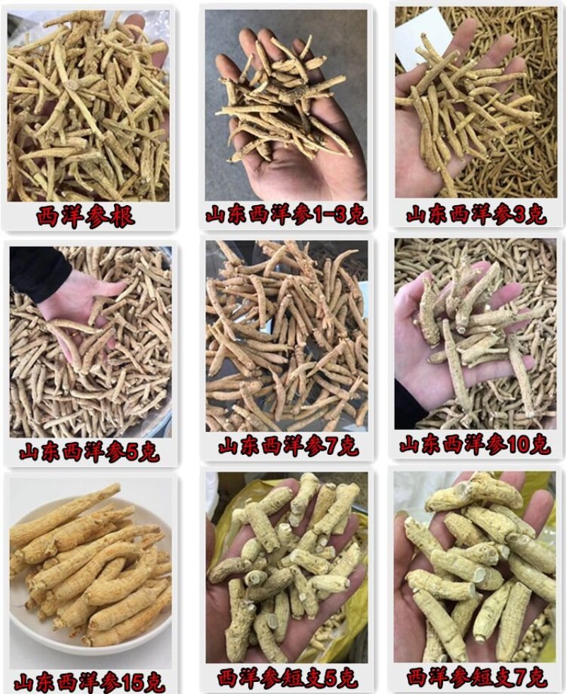 正品卡宾达树皮非洲安哥拉树皮男性滋补保健非泡酒料野生特级