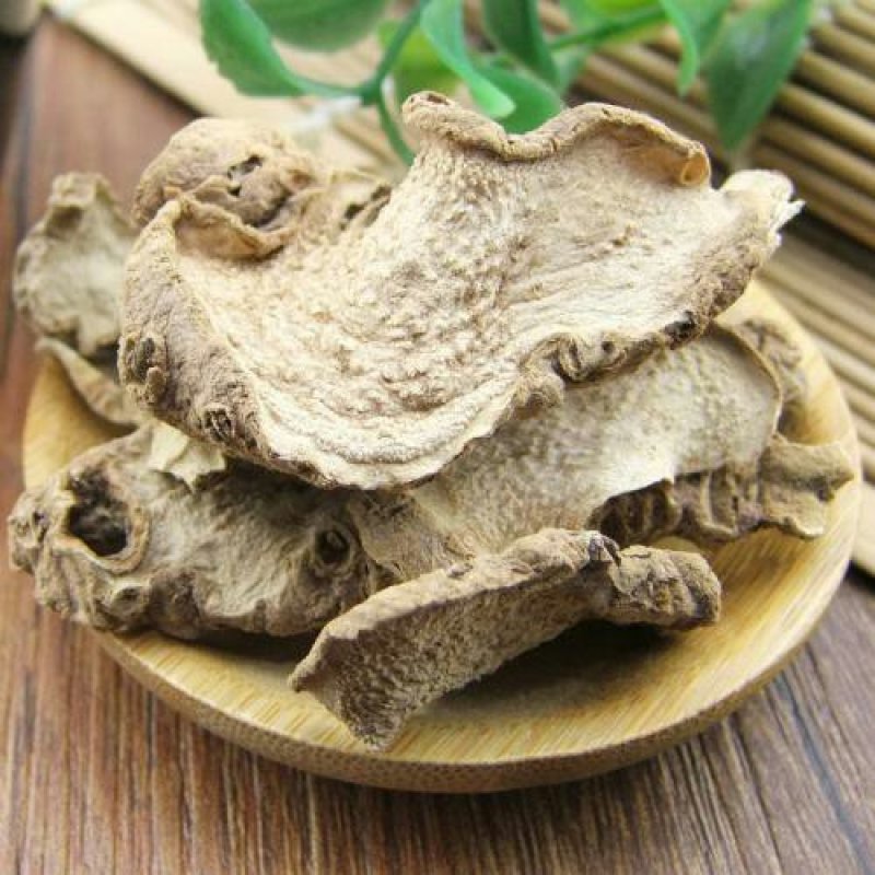 万年青根千余品种供应承接订单