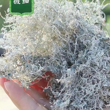 湖南张家界特产莓茶，自产自销，常年供货