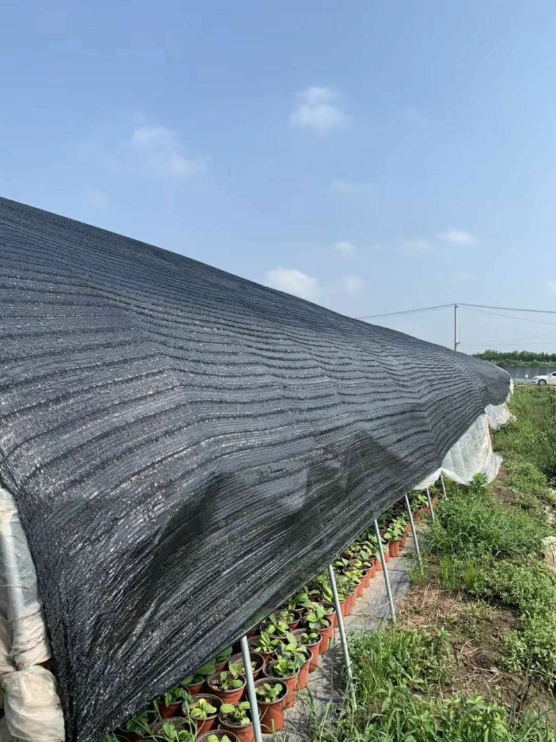 厂家直销全新料抗老化遮阳网遮阴网防晒网防晒隔热遮光耐用型