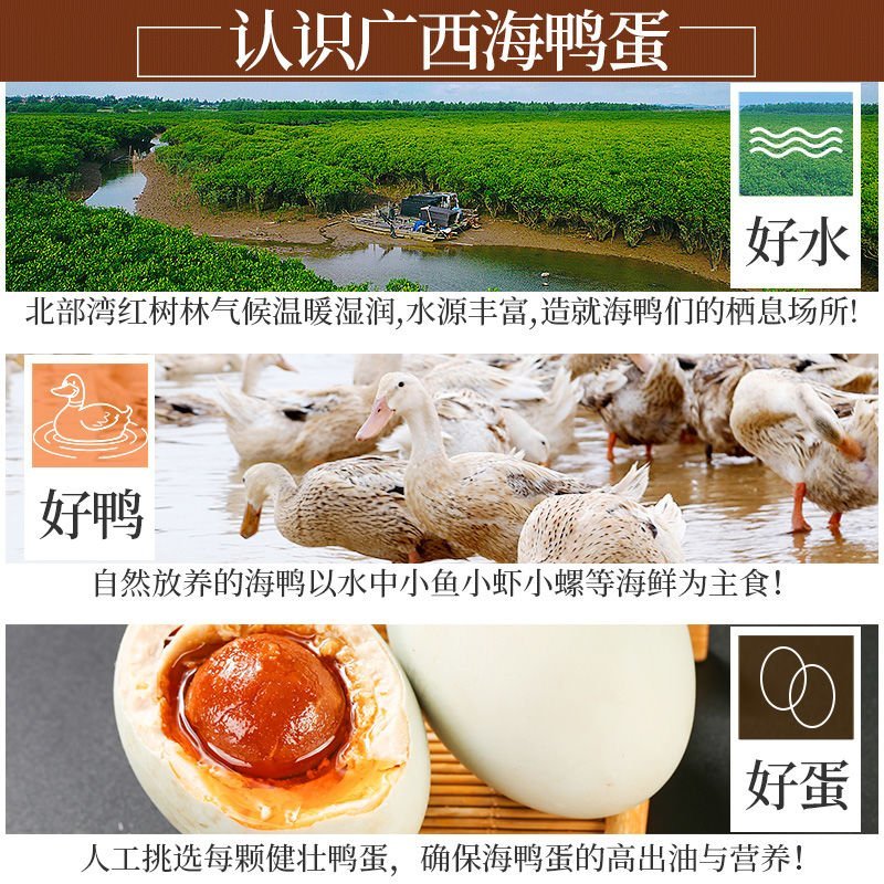 广西北部湾红树林烤海鸭蛋咸鸭蛋熟正宗红心流油咸蛋北海特产