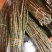 正品霍山铁皮石斛鲜条500g新鲜枫斗颗粒干条仿野生礼盒装