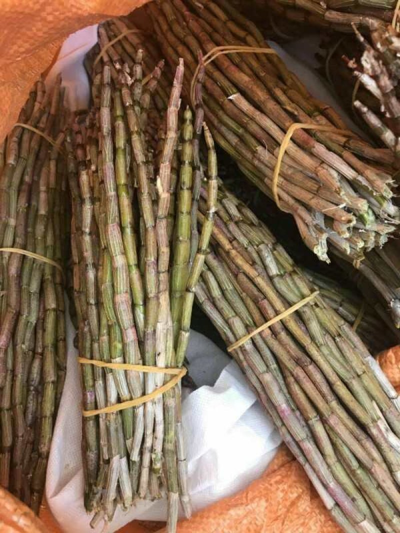 正品霍山铁皮石斛鲜条500g新鲜枫斗颗粒干条仿野生礼盒装