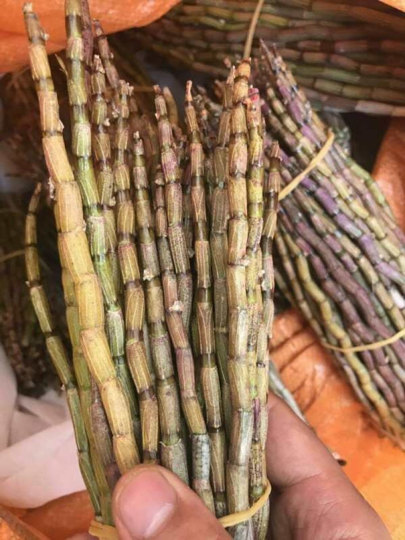 正品霍山铁皮石斛鲜条500g新鲜枫斗颗粒干条仿野生礼盒装