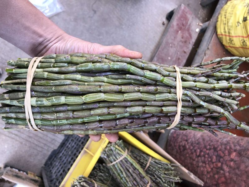 正品霍山铁皮石斛鲜条500g新鲜枫斗颗粒干条仿野生礼盒装