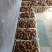 8520芋头大量供货了，精品货源，抓紧联系了