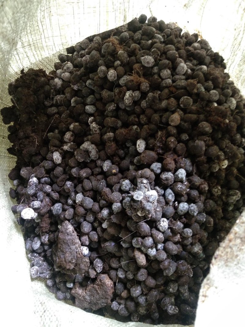 纯羊粪，质量好，杂质少，改良土壤，蓬松度高，肥效持久。