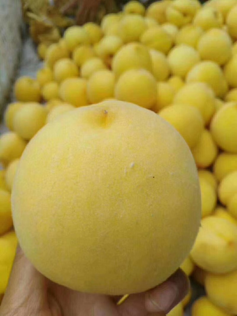 美味可口