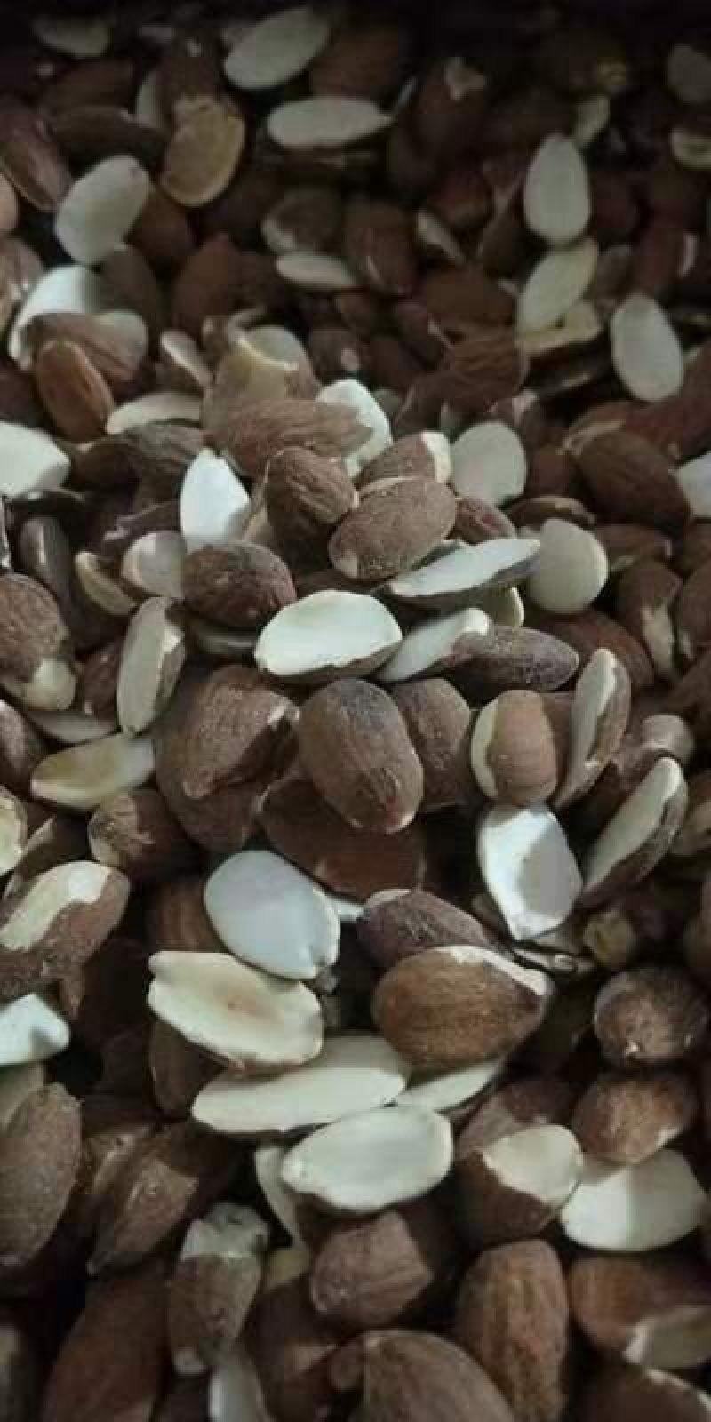 巴旦木仁【杏仁半片】烘焙原料。浙江，新疆进口。