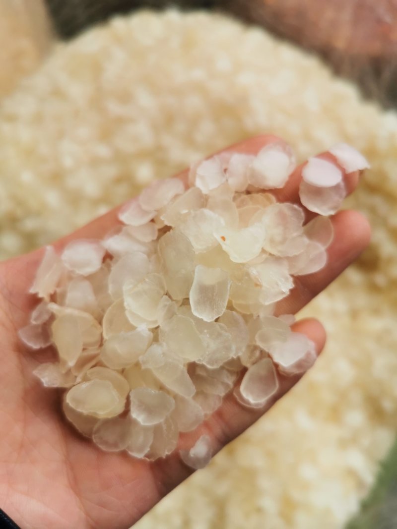 【爆款】原产地批发皂角米单荚白片视频看货量大从优