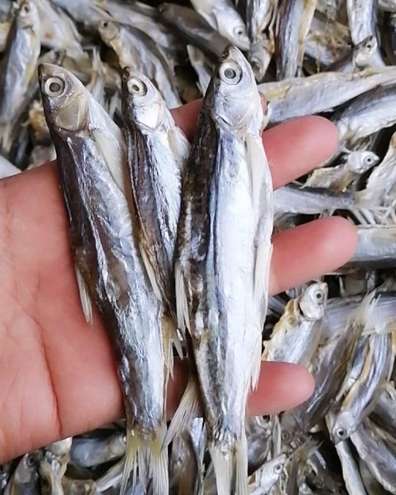 小鱼干餐条鱼干刁子鱼鱼干干货