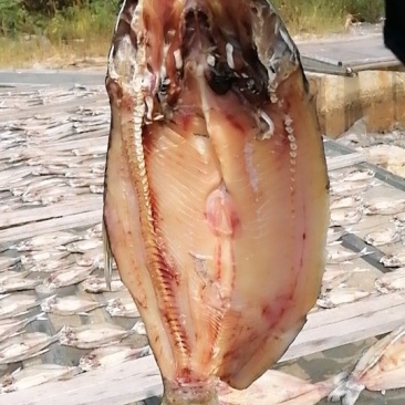 草鱼干鱼干无头草鱼腊鱼干货干草鱼整条草鱼