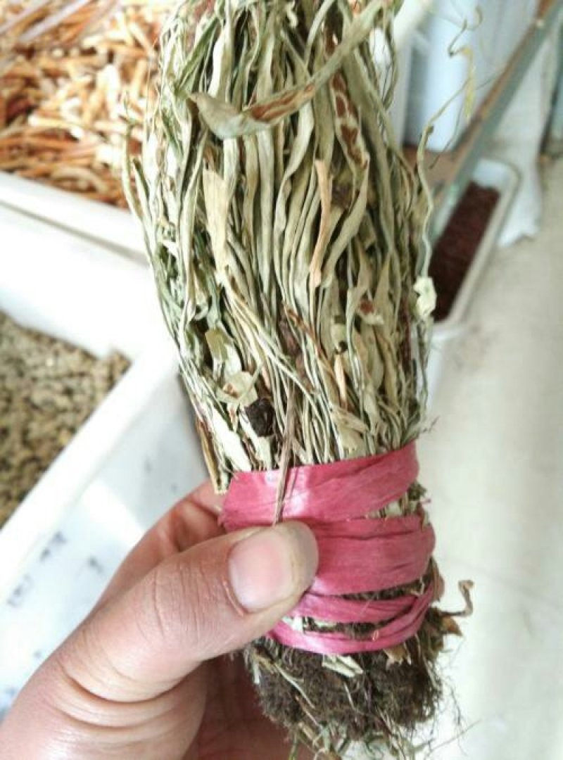 马蹬草过钱草还阳草小石苇千余品种供应承接订单