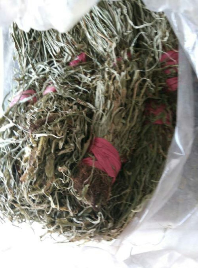 马蹬草过钱草还阳草小石苇千余品种供应承接订单
