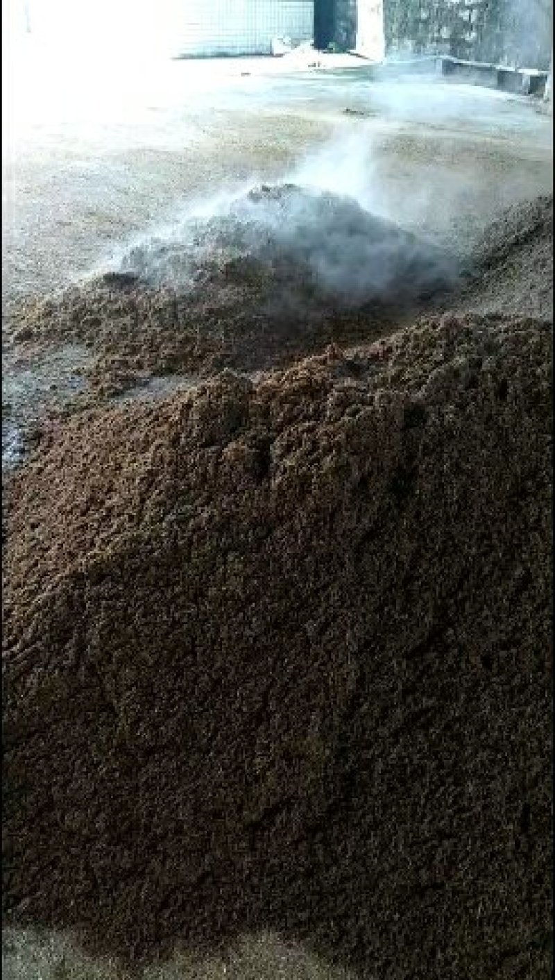 曲酒酒糟
