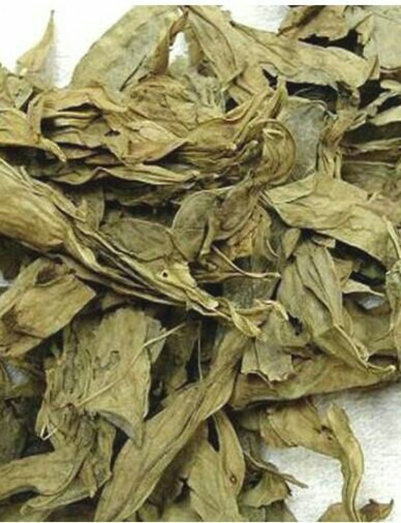 龙利叶龙脷叶龙舌叶牛耳叶千余品种供应承接订单