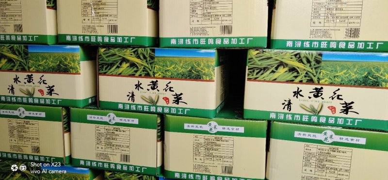黄花菜