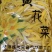 黄花菜