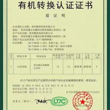 贵州贵安新区高峰镇有机南瓜香甜爽口
