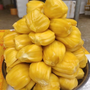 22到25斤海南顺丰包邮黄肉菠萝蜜
