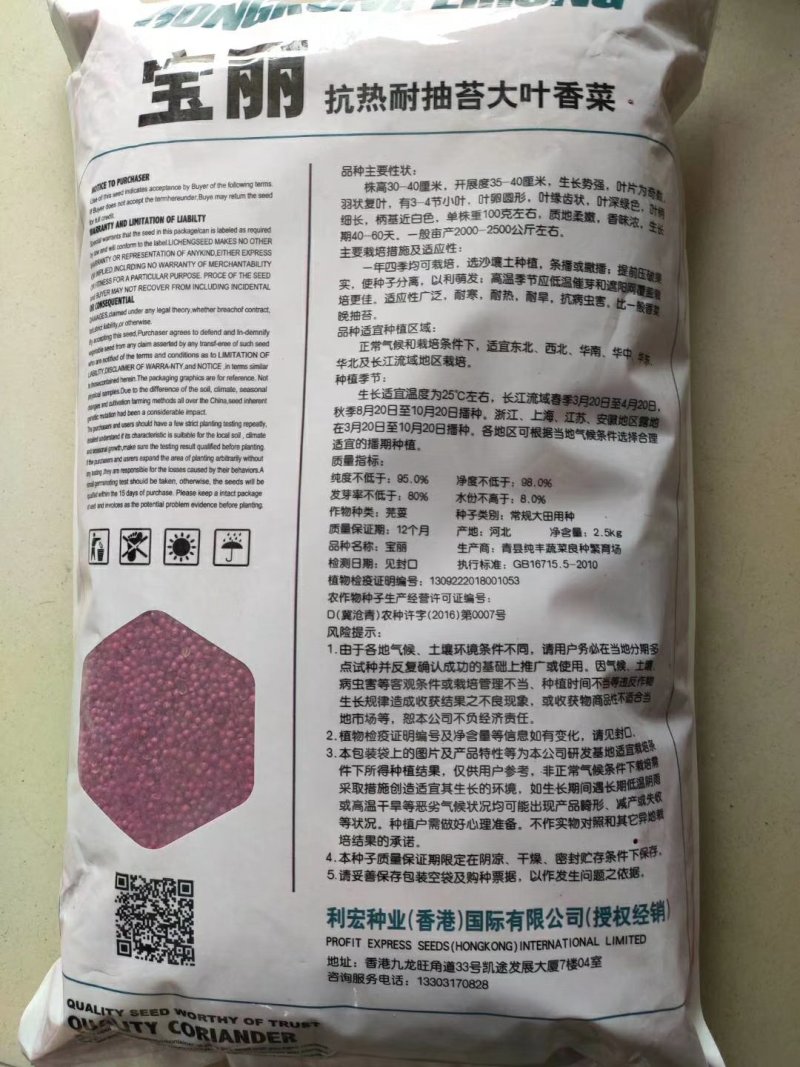 宝丽香菜种子叶深绿色叶柄细长香味浓