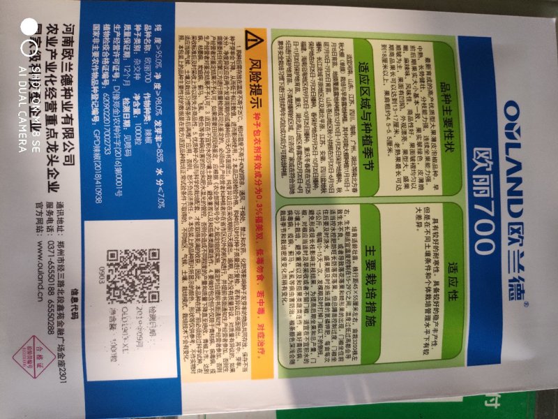 欧丽700超大薄皮辣椒种子农家夏秋季高产抗病超大果泡椒菜