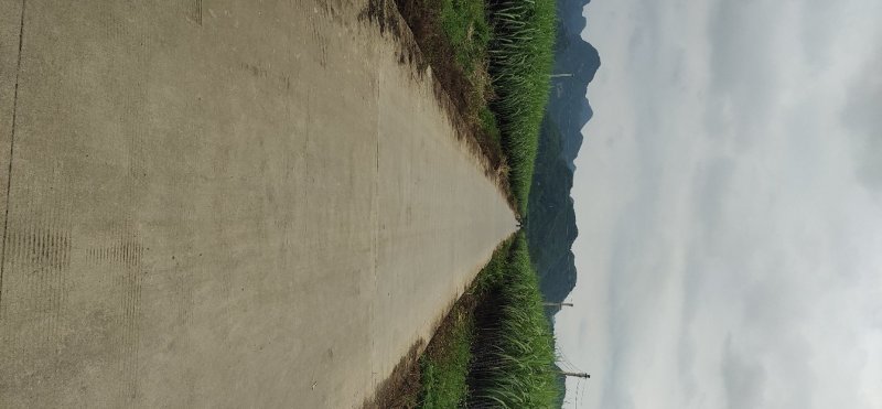 量大从优，黑皮甘蔗，让你买的顺心，看的舒心，脆甜可口。
