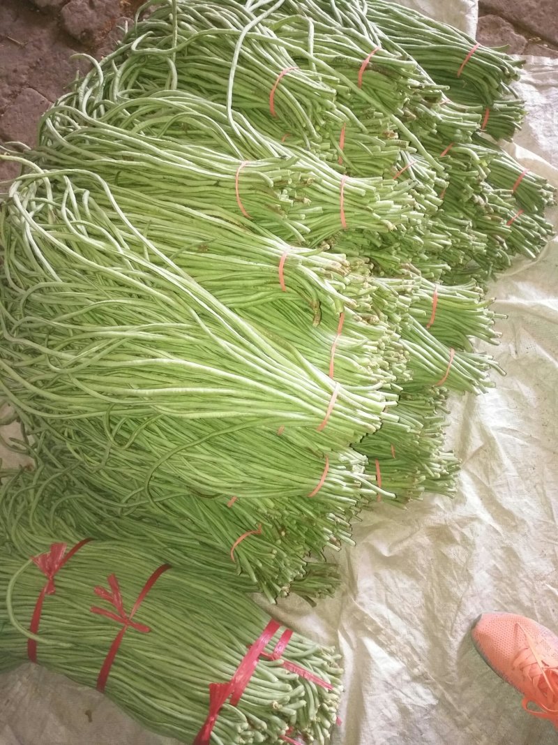 长豆角