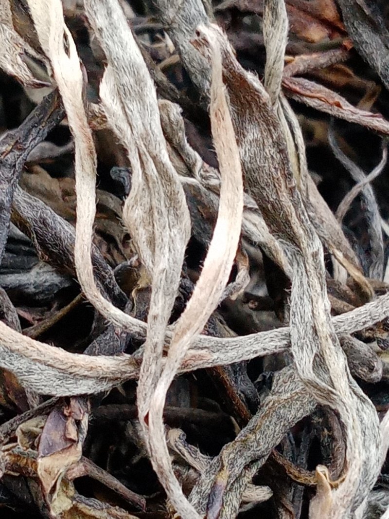 布朗山生茶纯料。