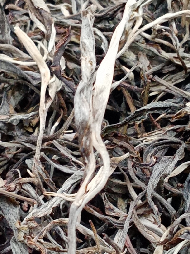布朗山生茶纯料。