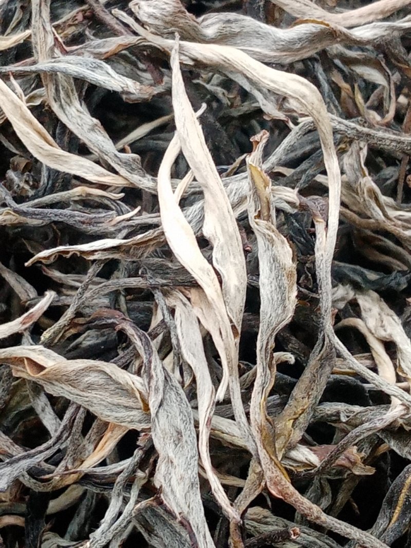 布朗山生茶纯料。