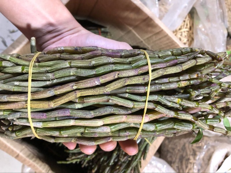 正品霍山铁皮石斛鲜条500g新鲜枫斗颗粒干条仿野生礼盒装