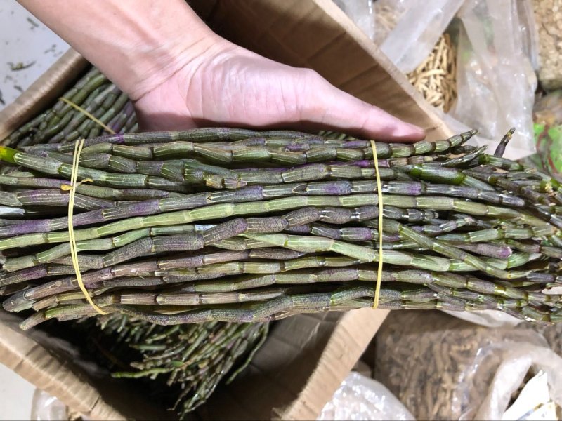 正品霍山铁皮石斛鲜条500g新鲜枫斗颗粒干条仿野生礼盒装