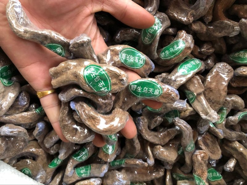 云南昭通非野生乌天麻丽江红天麻特级黑天麻丽江红天麻