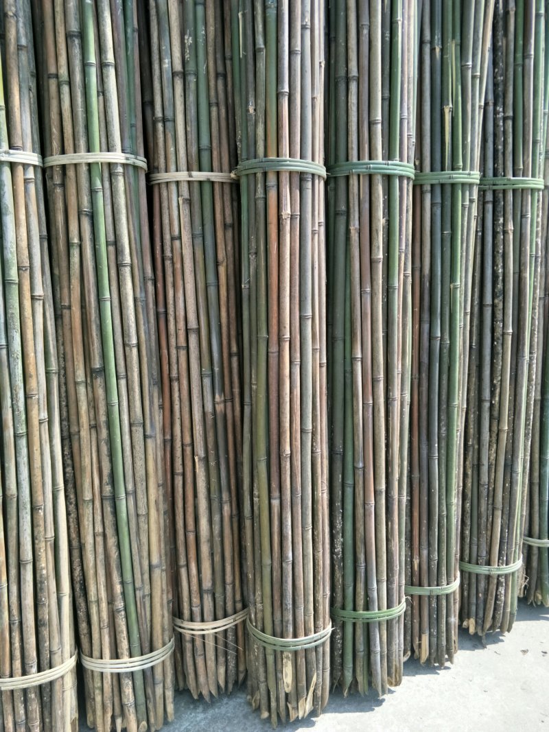 菜架竹竿(欢迎来电）扶树竹竿，扶苗竹子